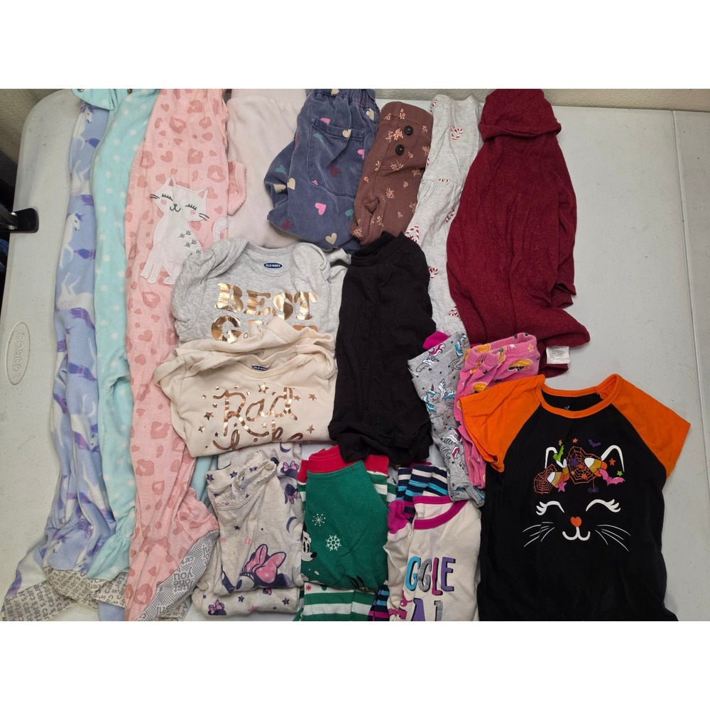 Baby Toddler Girl Clothes Lot 20pc size 18 months